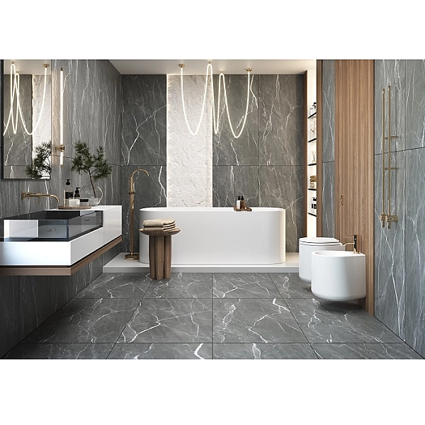 BAGIRA GRIS (1 сорт) - Фото - 2