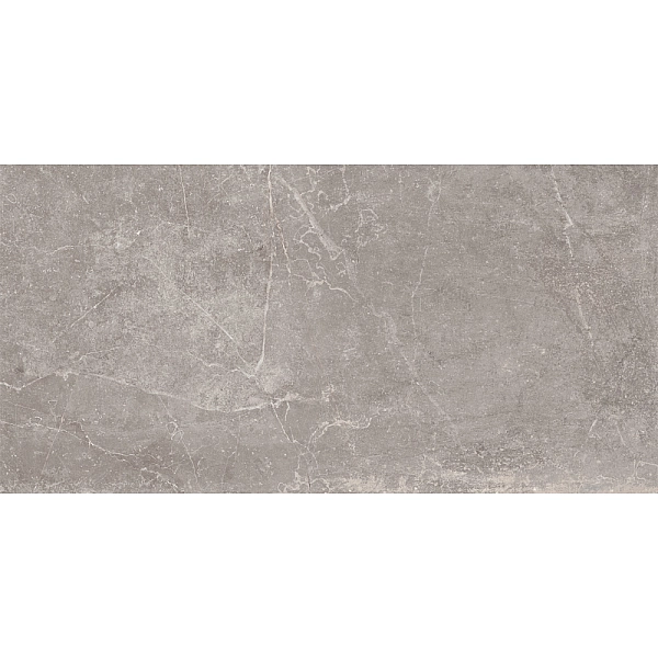 CONCEPT GREY RECTIFICADO 60X120 (1 сорт)
