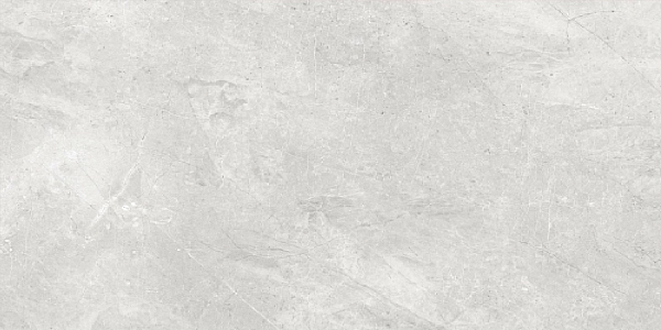 CALMA сірий глянець CA2051 (1 сорт) - Фото - 2