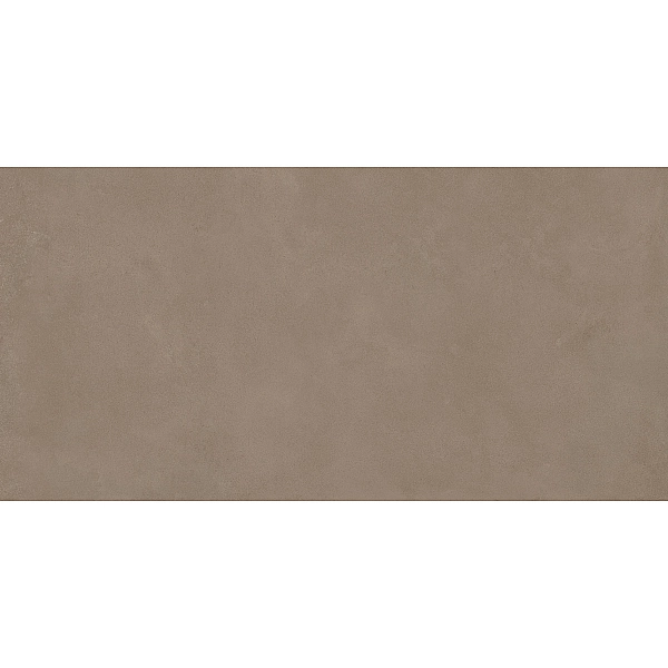 RTN6 MOUSS12 RM (1 сорт) - Фото - 2