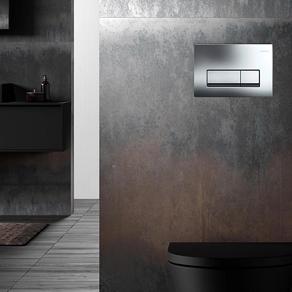 115.119.21.1 Delta50 Клавіша змиву з подвійним змивом: Глянцевий хром (1 сорт) - Фото - 5