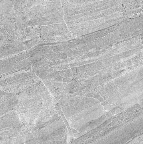 BRENDA GREY P. (1 сорт) - Фото - 3