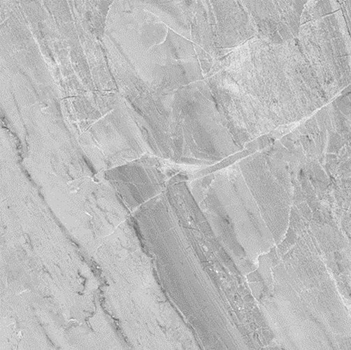 BRENDA GREY P. (1 сорт) - Фото - 4