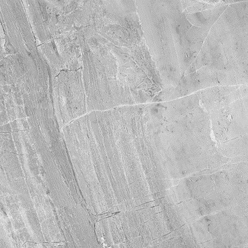 BRENDA GREY P. (1 сорт) - Фото - 2