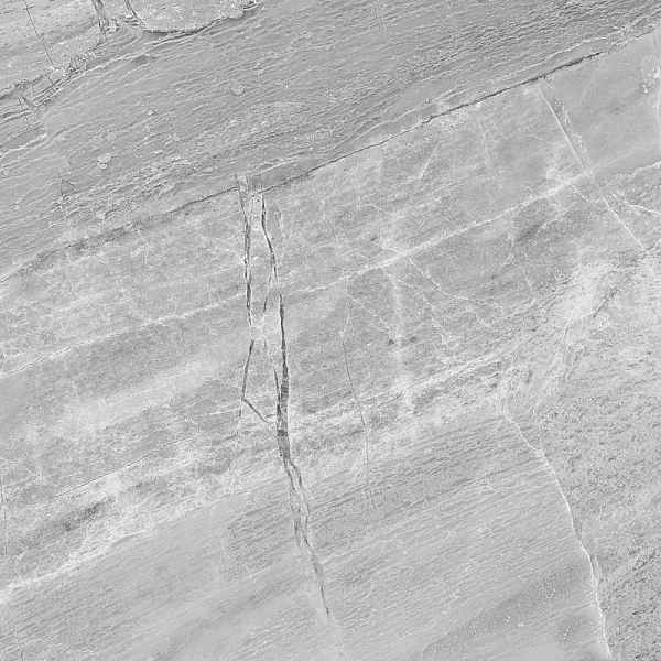 BRENDA GREY P. (1 сорт)