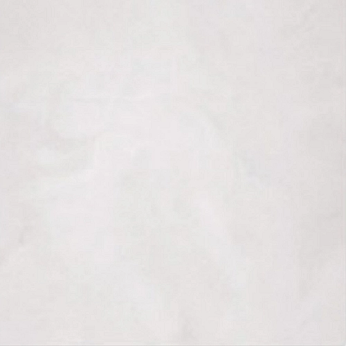 CARLY WHITE (1 сорт)