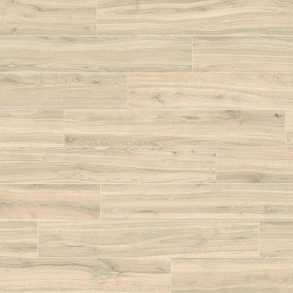 MADISON HAYA (1 сорт) - Фото - 2