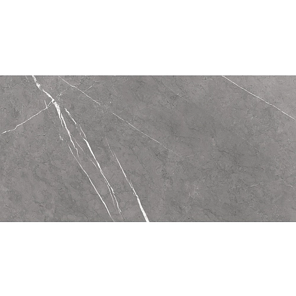 BEATRIS GREY (1 сорт) - Фото - 2