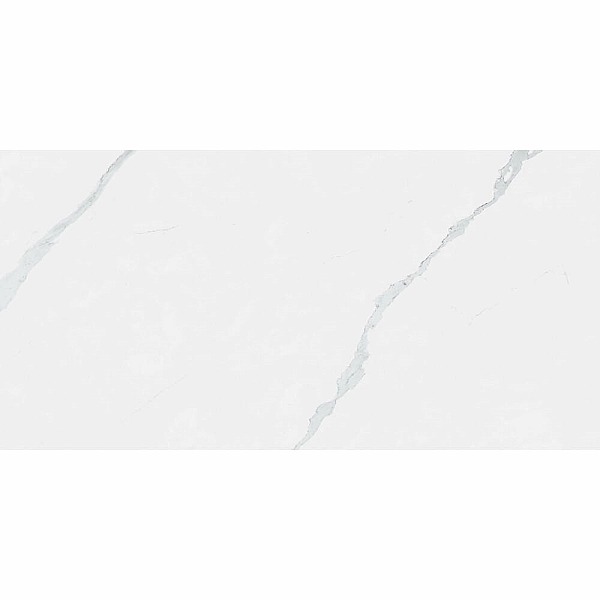 K1264334YAM MAESTRO (1 сорт) - Фото - 4