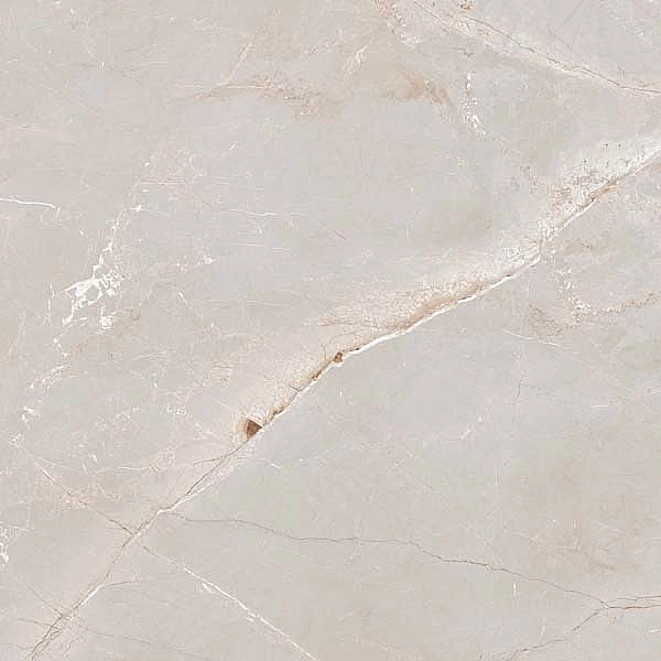 TULIP WHITE ### (1 сорт)