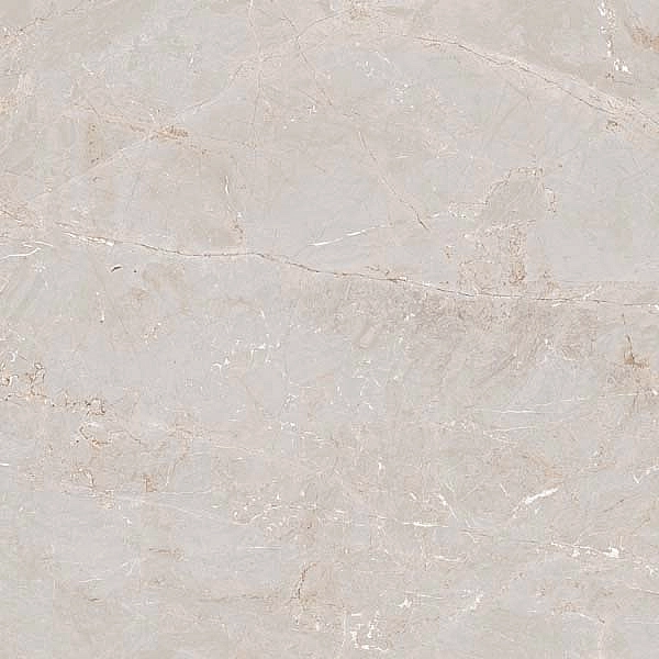 TULIP WHITE ### (1 сорт) - Фото - 3