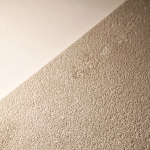 P.E. PORTLAND BONE MATE RECT. (1 сорт) - Фото - 8