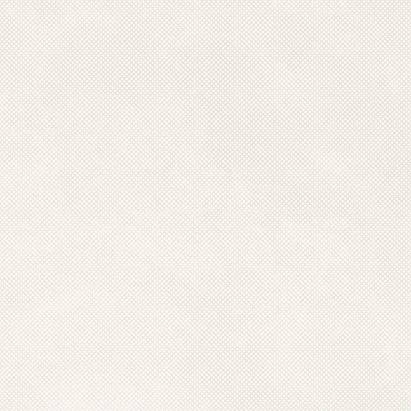 PAT6 NEVE12 RM (1 сорт) - Фото - 3