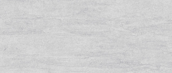 Плитка керамогранітна Dignity Light Grey RECT 597x1197x8 Cerrad