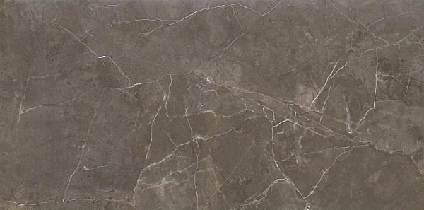 Плитка стінова Teneza Brown Glossy 297x600x9 Opoczno