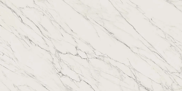 Плитка керамогранітна Elite White RECT MAT 598x1198 Paradyz