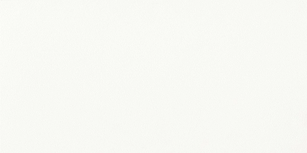 Плитка стінова White Micro PS800 RECT 298x598 Opoczno