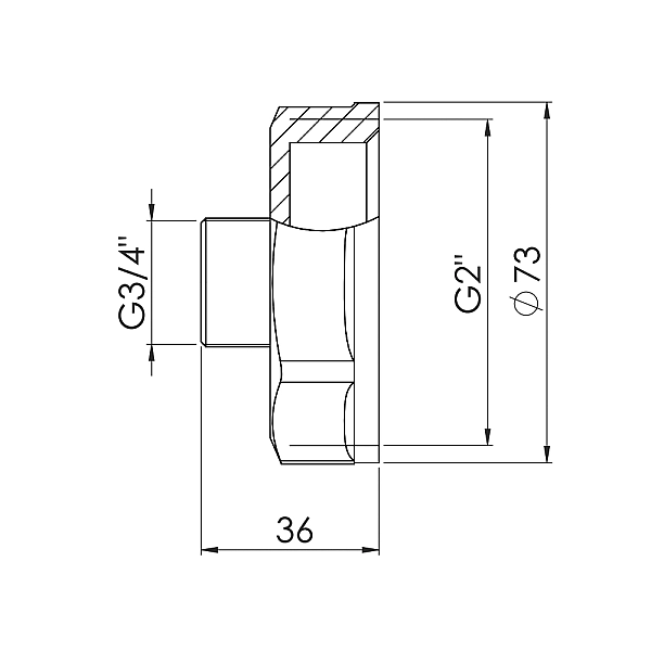 Перехід Thermo Alliance Forte 2"х3/4" ВЗ SF3605020 - Фото - 2