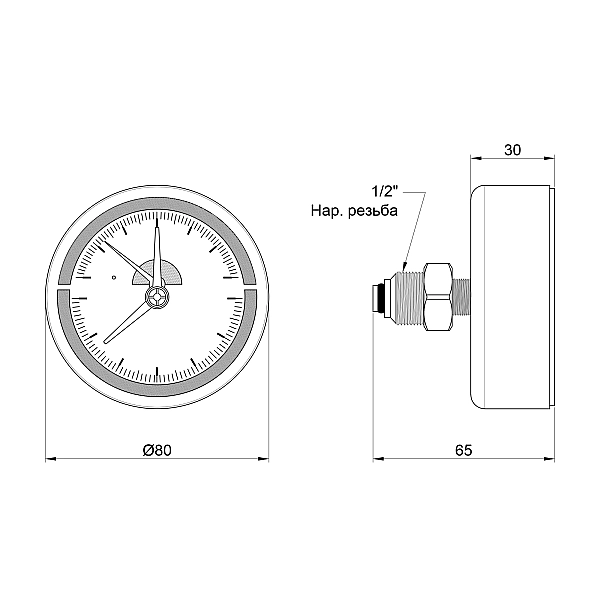 Термоманометр Thermo Alliance Standart 80 мм 1/2", заднє підмикання SD1736B - Фото - 2