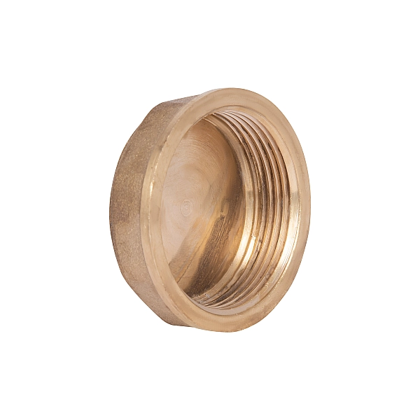 Заглушка Thermo Alliance Standart 1 1/2" ВР SD40240 - Фото - 3