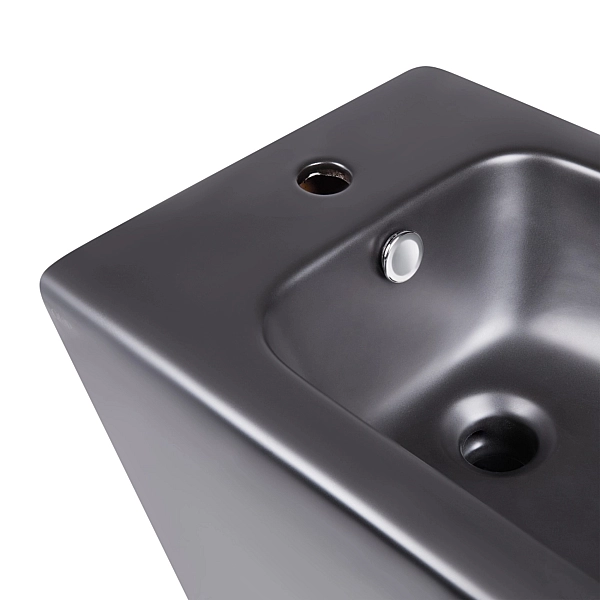 Акционный набор: Унитаз напольный Robin Ultra Quiet QT13226083AMB 660x360x855 Black + Биде напольное Robin QT13442141CMB 565x360x405 Black - Фото - 7