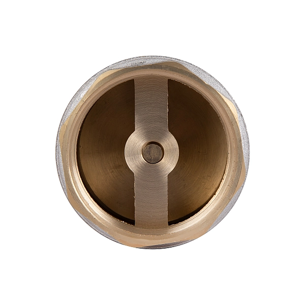 Обратный клапан Thermo Alliance Standart 2"ВВ с латунным штоком TAS240W50 - Фото - 5