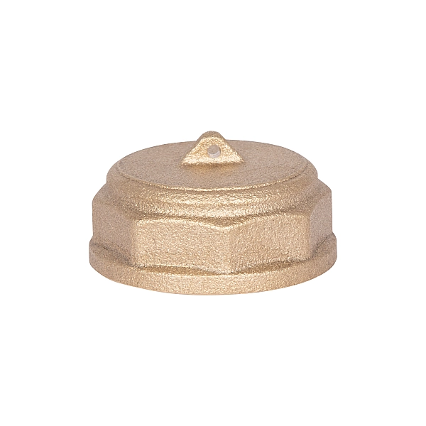 Заглушка Thermo Alliance Standart 1" ВР SD40225 - Фото - 5