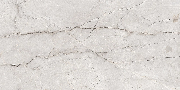 Плитка керамогранітна Monalisa Grey POL 600x1200 Raviraj