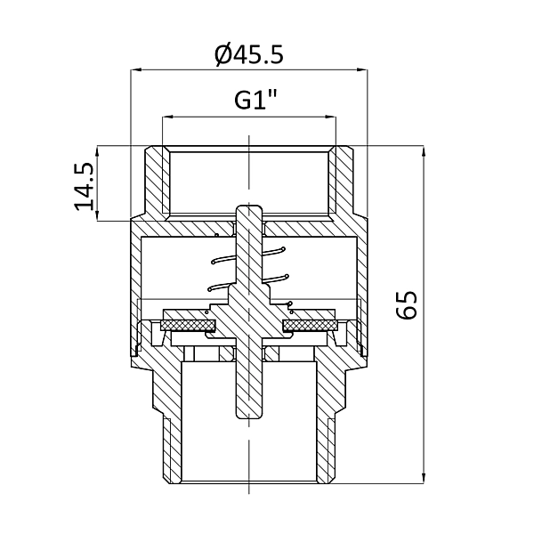 Клапан зворотний Thermo Alliance Standart 1"ВЗ із латунним штоком TAS248W25 - Фото - 2