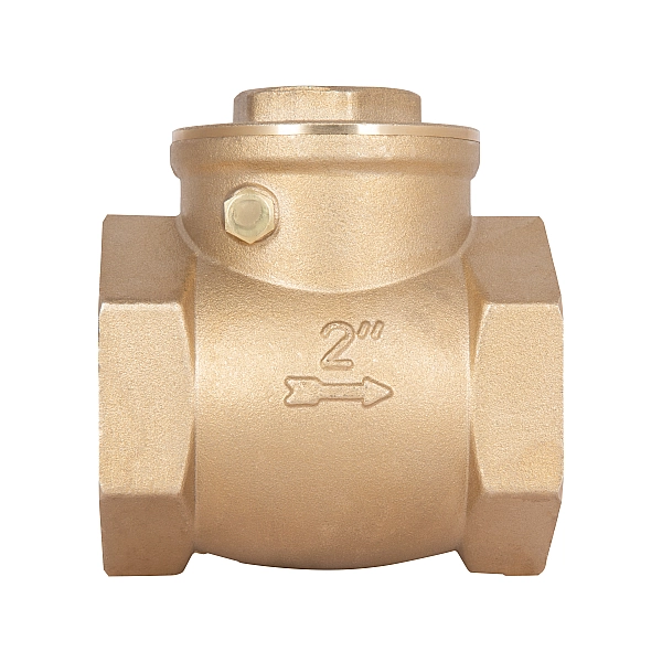 Зворотний клапан Thermo Alliance Standart 2" SD242W50 - Фото - 3