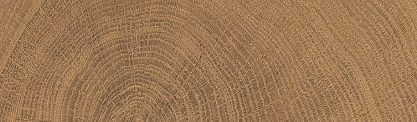ENJA WCI WALNUT 053X300 (1 сорт) - Фото - 2