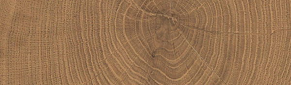 ENJA WCI WALNUT 053X300 (1 сорт) - Фото - 3