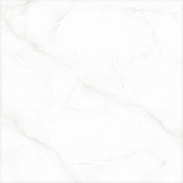GLORIOUS WHITE (1 сорт) - Фото - 3