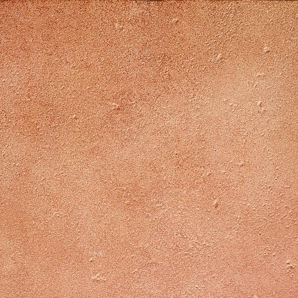 BASE_P VEGA ROJO C-1 (1 сорт)