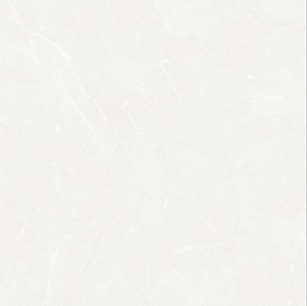 10TB048 AVIORA (1 сорт) - Фото - 2