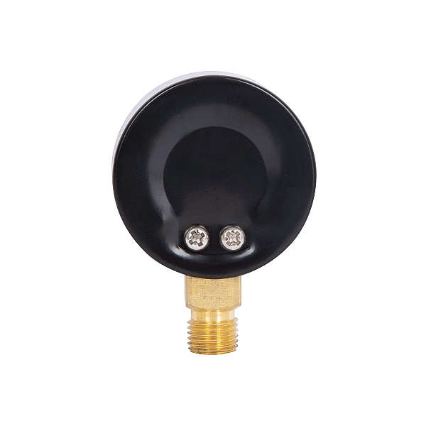 Манометр Thermo Alliance Standart 50 мм 1/4", нижнє підмикання SD1704B - Фото - 6