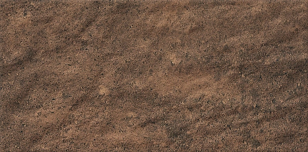KAMIEN ARGILLA WALNUT (1 сорт)