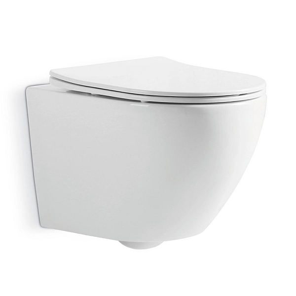 DUN30201111W Universal Підвісний безобідковий унітаз з кришкою soft-close та Vortex Flush, білий (1 сорт)