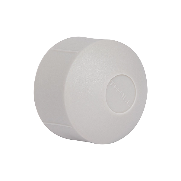 Заглушка PPR Thermo Alliance 32