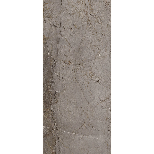 100332616 ASTANA GREY POL. 120X270(6)(A) (1 сорт) - Фото - 3