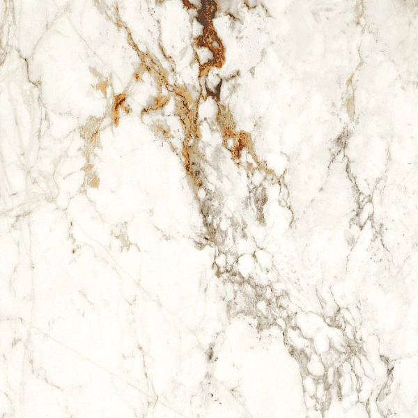 BARNABY WHITE LAP (1 сорт) - Фото - 3