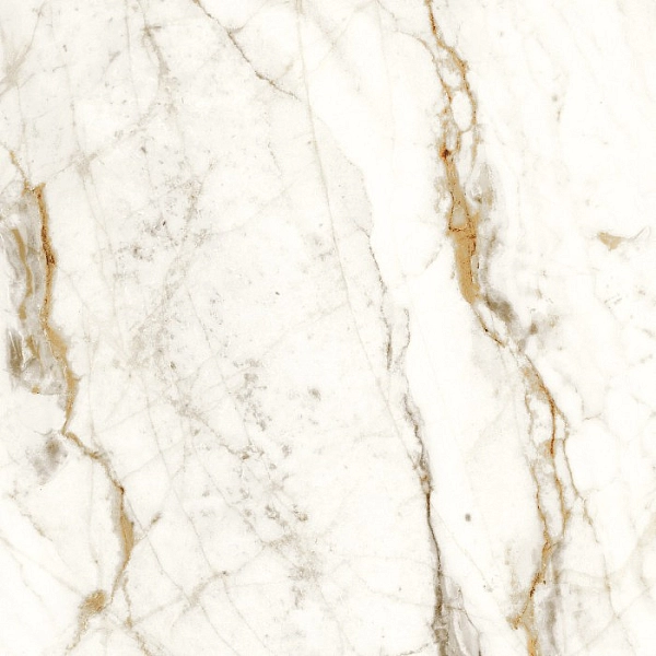 BARNABY WHITE LAP (1 сорт) - Фото - 2