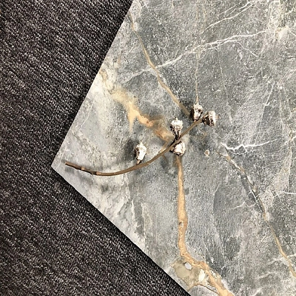 B6689 STORM (1 сорт) - Фото - 2