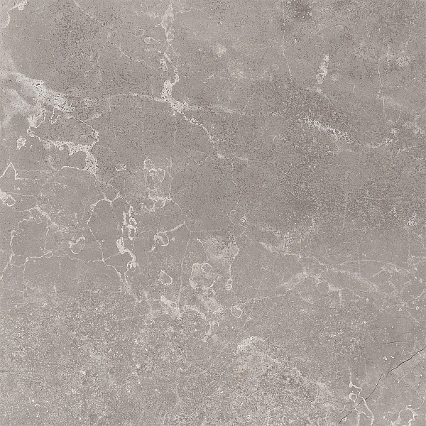 CONCEPT GREY RECTIFICADO 60х60 (1 сорт)