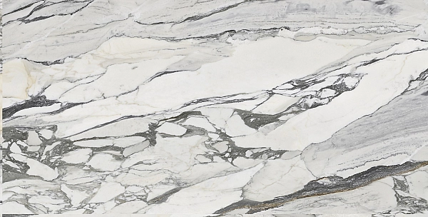 PS3D751501 LILAC PICASSO (1 сорт) - Фото - 2