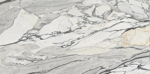 PS3D751501 LILAC PICASSO (1 сорт) - Фото - 5