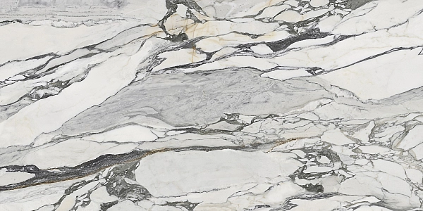 PS3D751501 LILAC PICASSO (1 сорт)