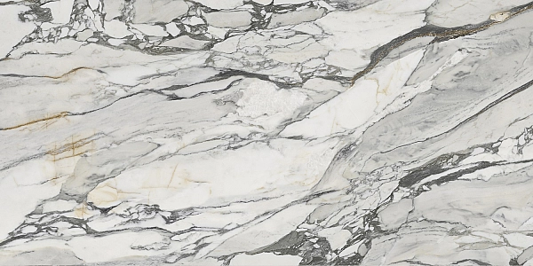 PS3D751501 LILAC PICASSO (1 сорт) - Фото - 4