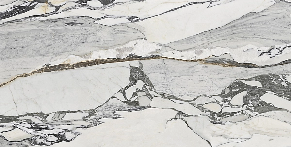 PS3D751501 LILAC PICASSO (1 сорт) - Фото - 6