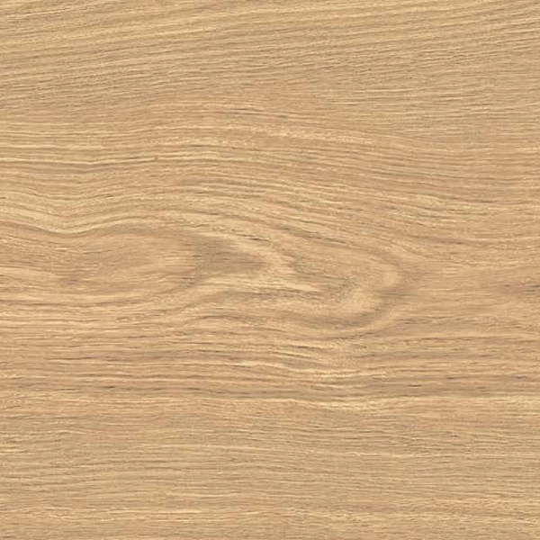 APRICOT6 2015 (1 сорт) - Фото - 2